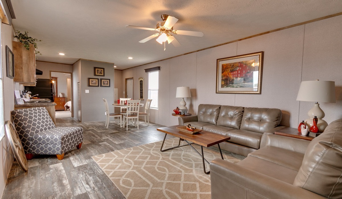 Open living room inside the new single-wide